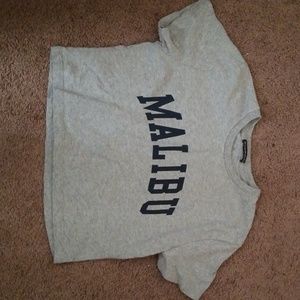 BRANDY MELVILLE Malibu Cropped Tee in Grey
